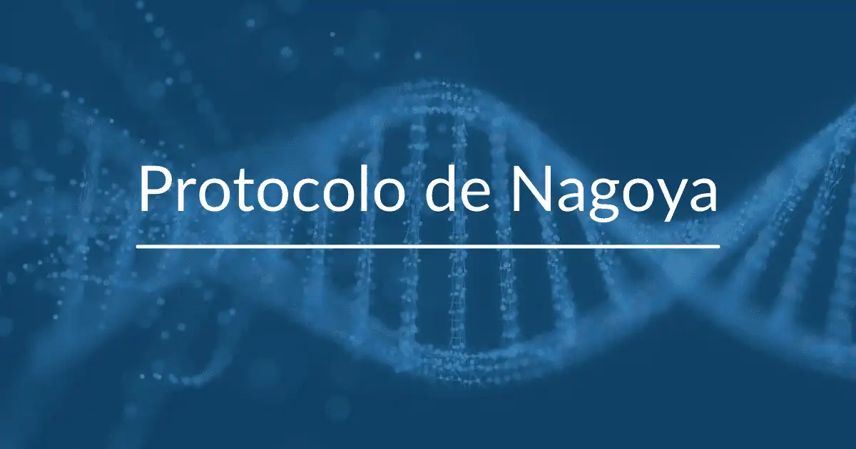 ¿Qué es el protocolo de Nagoya?